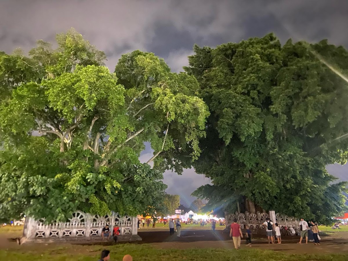 Bringin Kembar Alun-Alun Selatan (Masangin) Yogyakarta