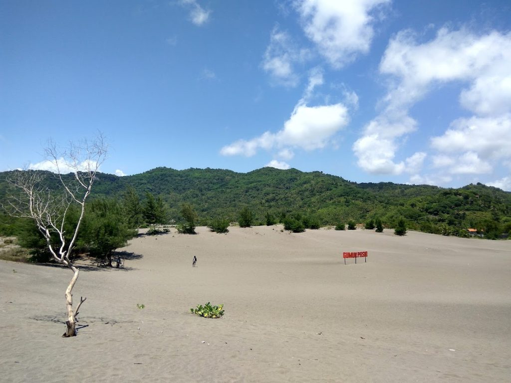 Keunikan Geologis Gumuk Pasir Tipe Barchan Keunikan Geologis Gumuk Pasir Tipe Barchan