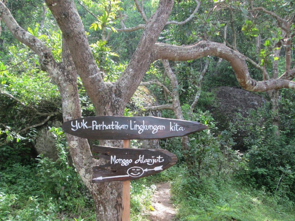 Tips dan Panduan Praktis untuk Mendaki Gunung Nglanggeran