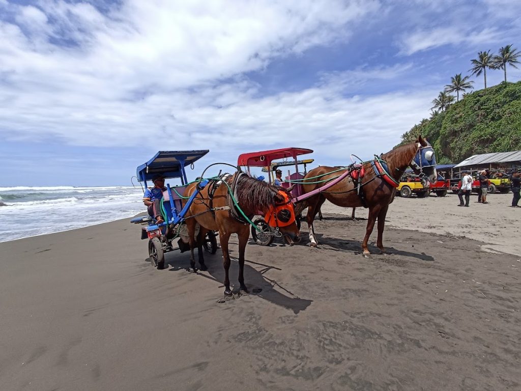 Fasilitas Pendukung Wisatawan Di Pantai Parangendog Fasilitas Pendukung Wisatawan Di Pantai Parangendog