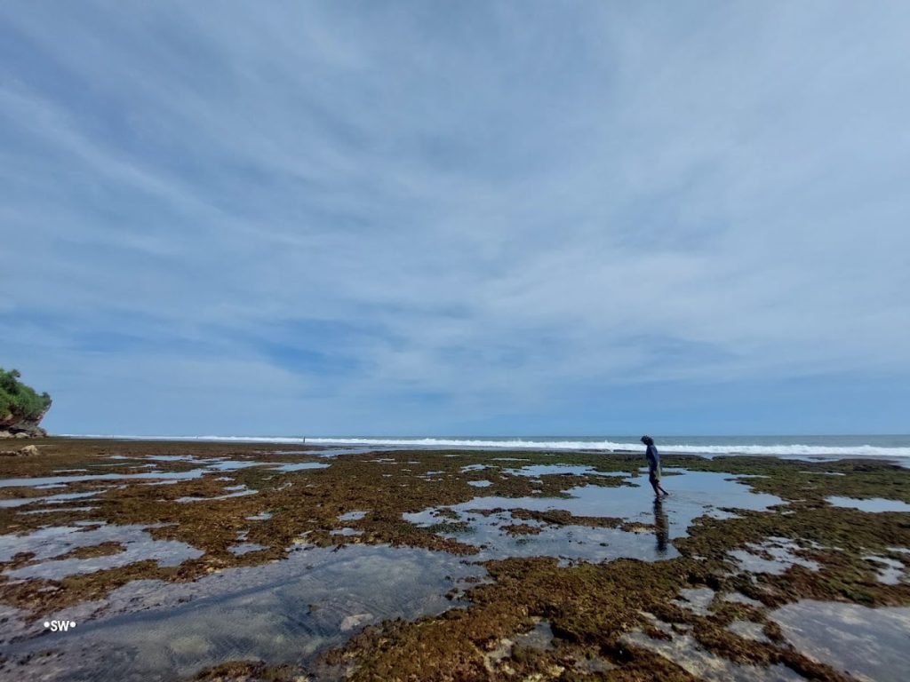 Dari gugusan karang, pasir putih, hingga pepohonan rindang, semua sudut di Pantai Porok layak untuk dijadikan spot fotografi. Dari gugusan karang, pasir putih, hingga pepohonan rindang, semua sudut di Pantai Porok layak untuk dijadikan spot fotografi.