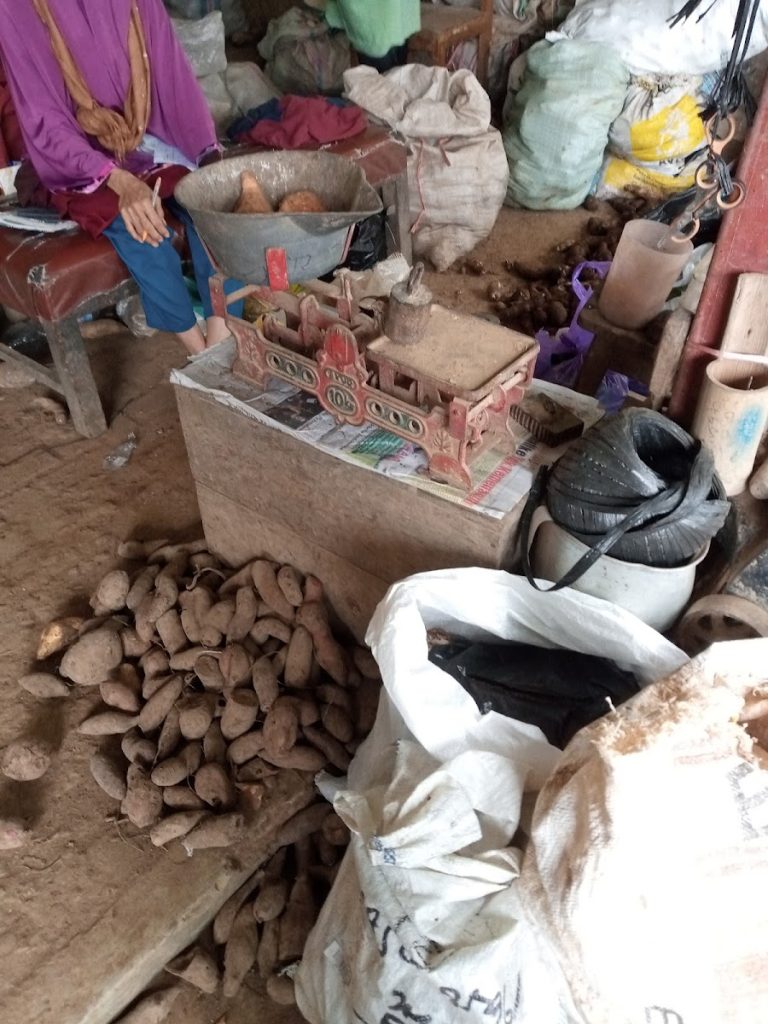 Ketela yang tersedia di Pasar Telo sangat beragam. Ketela yang tersedia di Pasar Telo sangat beragam.