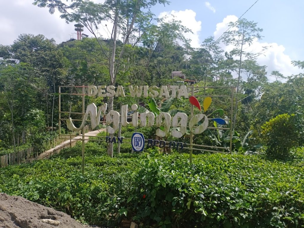 Sejarah Desa Wisata Nglinggo: Jejak Tiga Prajurit Setia Pangeran Diponegoro Sejarah Desa Wisata Nglinggo: Jejak Tiga Prajurit Setia Pangeran Diponegoro