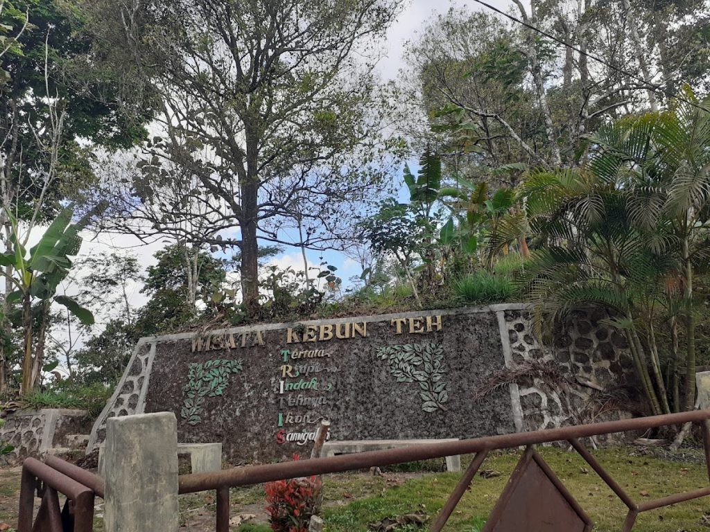 Sejarah Berdirinya Kebun Teh Tritis: Dari Cita-Cita Pribadi Menjadi Destinasi Wisata Sejarah Berdirinya Kebun Teh Tritis: Dari Cita-Cita Pribadi Menjadi Destinasi Wisata