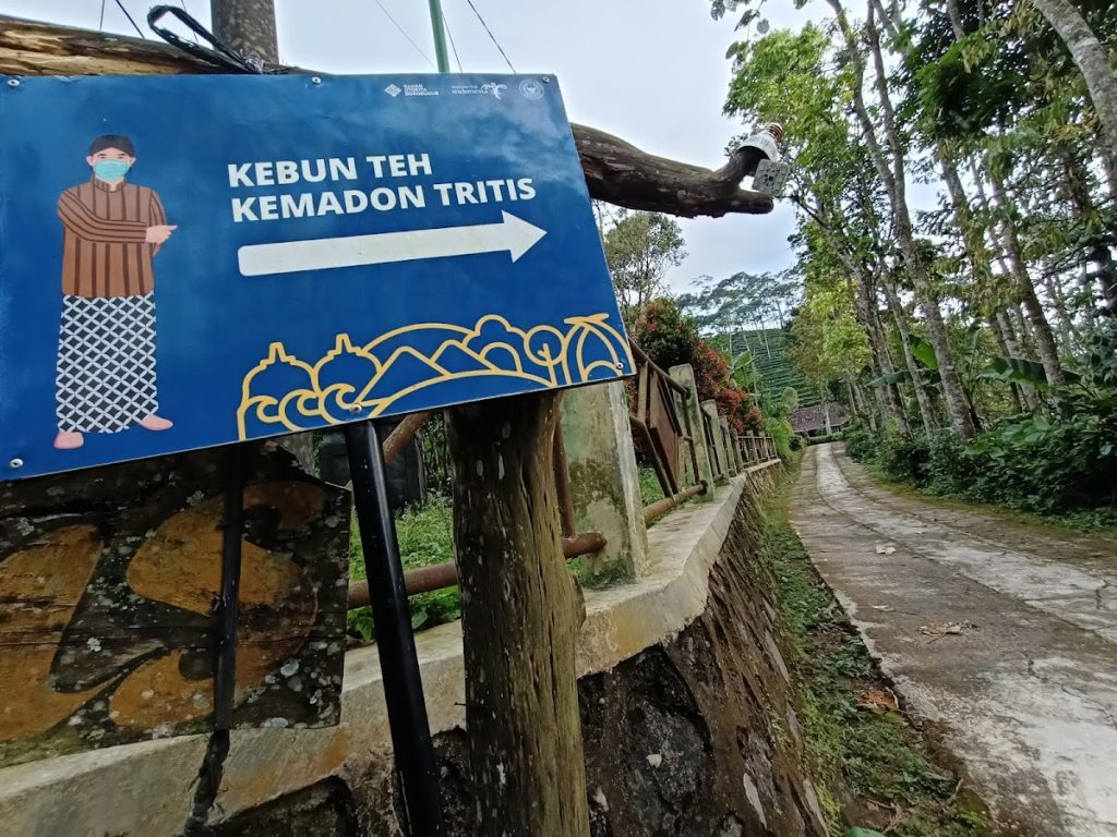 Akses Menuju Kebun Teh Tritis: Mudah Dijangkau dan Cocok untuk One Day Trip Akses Menuju Kebun Teh Tritis: Mudah Dijangkau dan Cocok untuk One Day Trip
