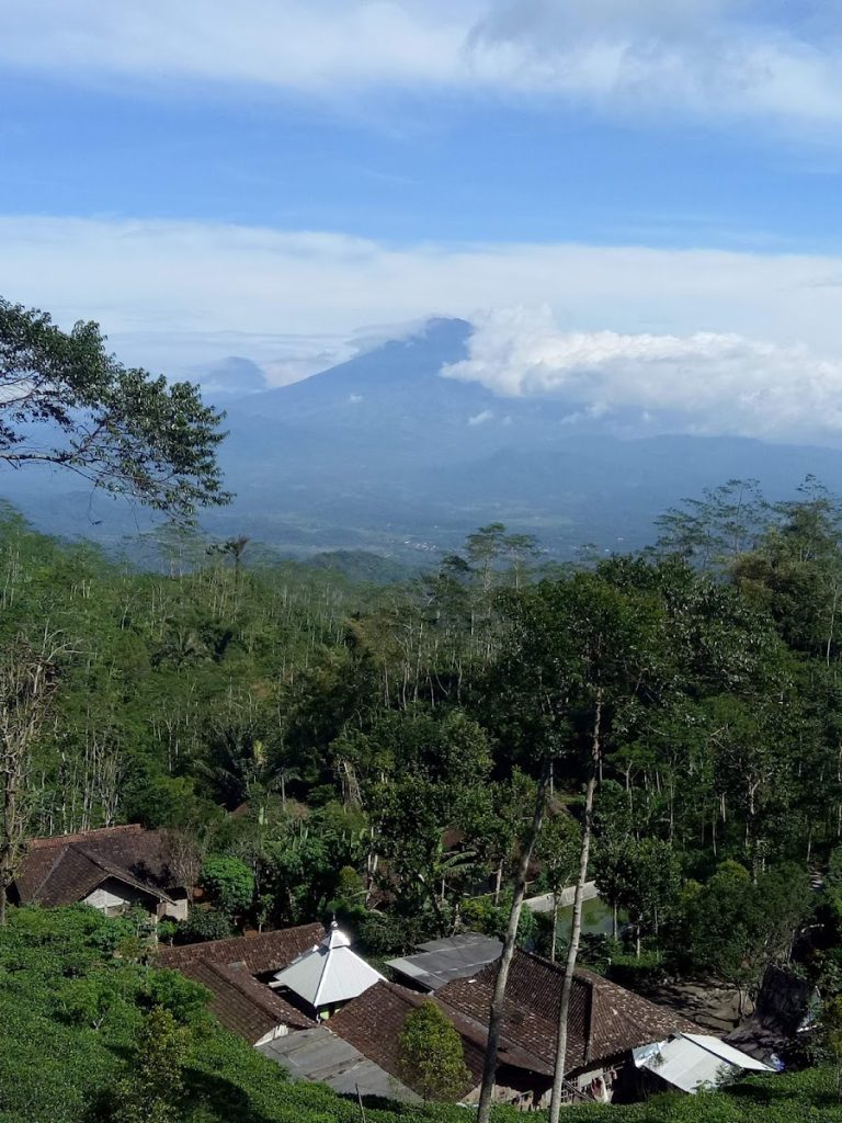 Kebun Teh Tritis, Simfoni Hijau nan Menenangkan di Perbukitan Menoreh Kebun Teh Tritis, Simfoni Hijau nan Menenangkan di Perbukitan Menoreh