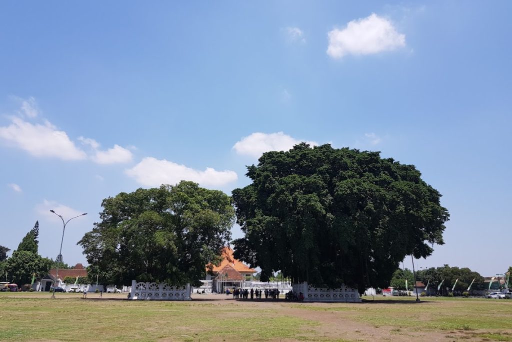 Mitos Pohon Beringin Kembar: Penjaga Gaib Keraton Yogyakarta Mitos Pohon Beringin Kembar: Penjaga Gaib Keraton Yogyakarta
