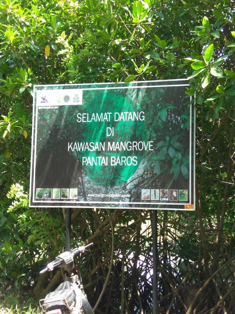 Sejarah dan Asal Usul Hutan Mangrove Baros Sejarah dan Asal Usul Hutan Mangrove Baros