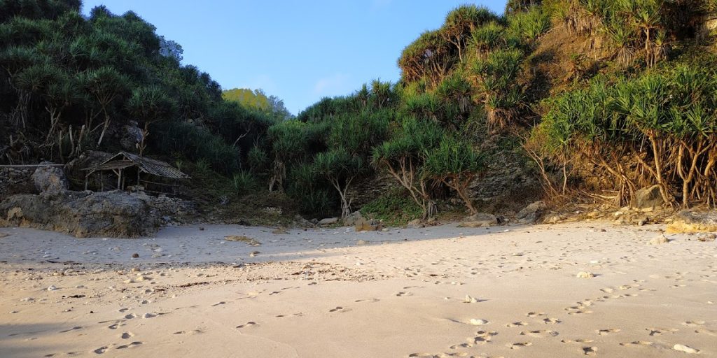Aktivitas Wisata di Pantai Daud Aktivitas Wisata di Pantai Daud