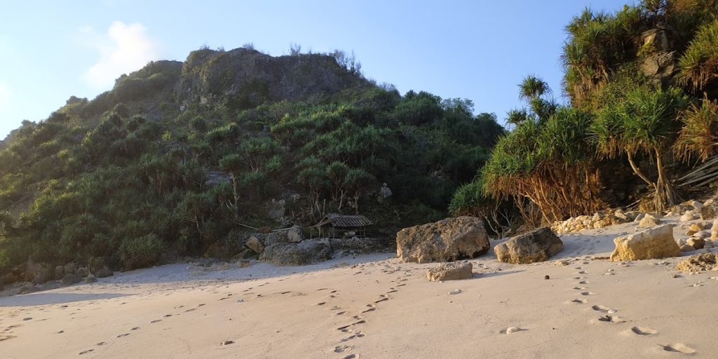 Menurut Explore Jogja, salah satu daya tarik utama dari Pantai Daud adalah keindahan alamnya yang masih sangat alami dan asri. Menurut Explore Jogja, salah satu daya tarik utama dari Pantai Daud adalah keindahan alamnya yang masih sangat alami dan asri.