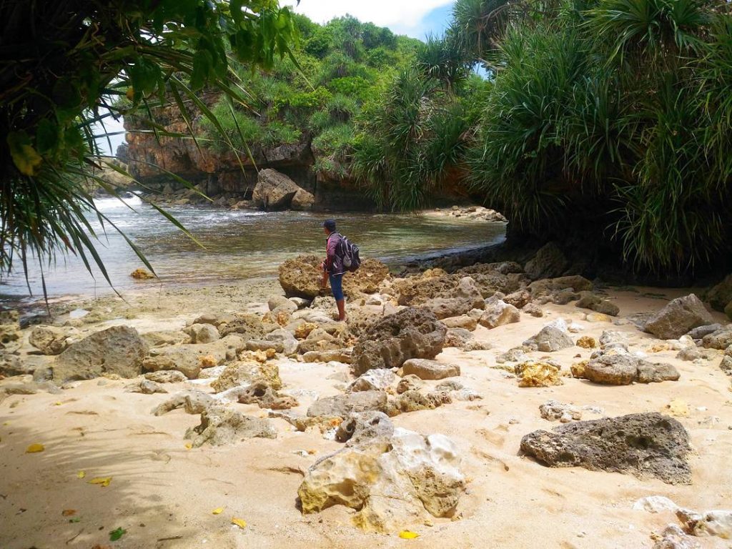Pantai Dluwok Gunungkidul: Pesona Pantai Kecil yang Memukau di Balik Tebing Karang Pantai Dluwok Gunungkidul: Pesona Pantai Kecil yang Memukau di Balik Tebing Karang