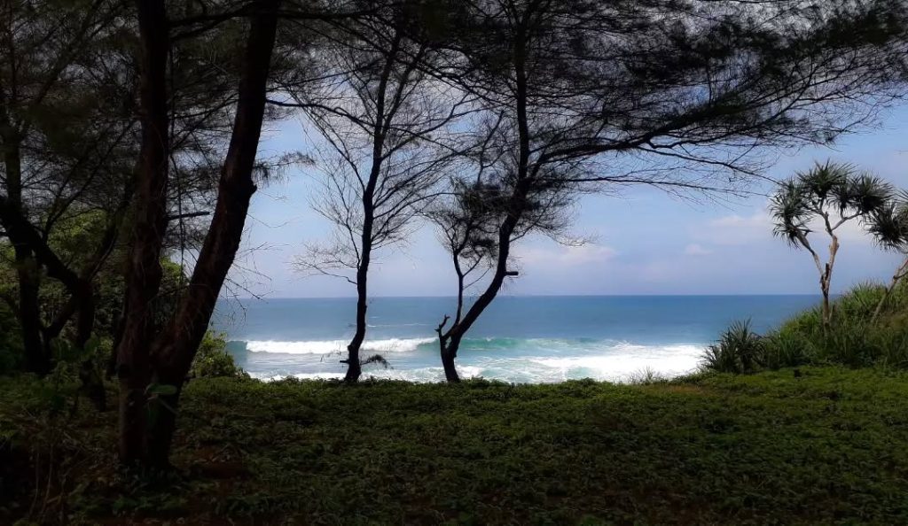 Keindahan Alam dan Lanskap Eksotis Pantai Dluwok Keindahan Alam dan Lanskap Eksotis Pantai Dluwok