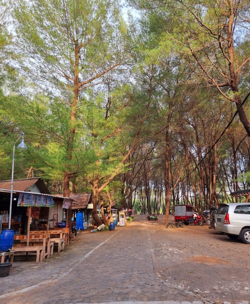 Pantai Goa Cemara: Wisata Eksotis & Konservasi Alam di Bantul Pantai Goa Cemara: Wisata Eksotis & Konservasi Alam di Bantul