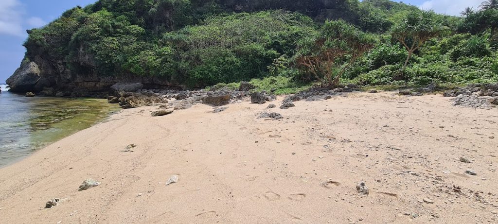 Aktivitas Menarik yang Bisa Dilakukan di Pantai Nglangkap Aktivitas Menarik yang Bisa Dilakukan di Pantai Nglangkap