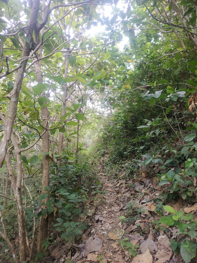 Setelah kendaraan tidak memungkinkan melanjutkan perjalanan ke Pantai Nglangkap, pengunjung harus melanjutkan dengan berjalan kaki sejauh ±1 km melalui jalan setapak yang sempit, menurun, dan diapit semak belukar Setelah kendaraan tidak memungkinkan melanjutkan perjalanan ke Pantai Nglangkap, pengunjung harus melanjutkan dengan berjalan kaki sejauh ±1 km melalui jalan setapak yang sempit, menurun, dan diapit semak belukar