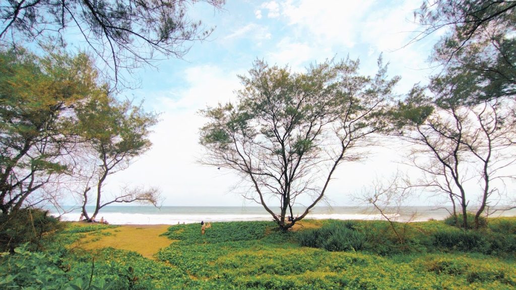 Harga Tiket dan Fasilitas Pendukung Pantai Pandansari