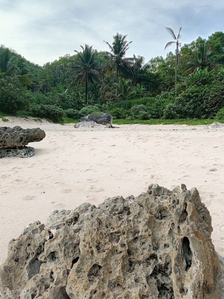 Keindahan Pantai Butuh terletak pada lanskapnya yang masih sangat perawan. Keindahan Pantai Butuh terletak pada lanskapnya yang masih sangat perawan.