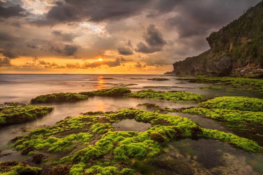 Pantai Butuh menyimpan banyak spot menarik untuk berfoto. Pantai Butuh menyimpan banyak spot menarik untuk berfoto.
