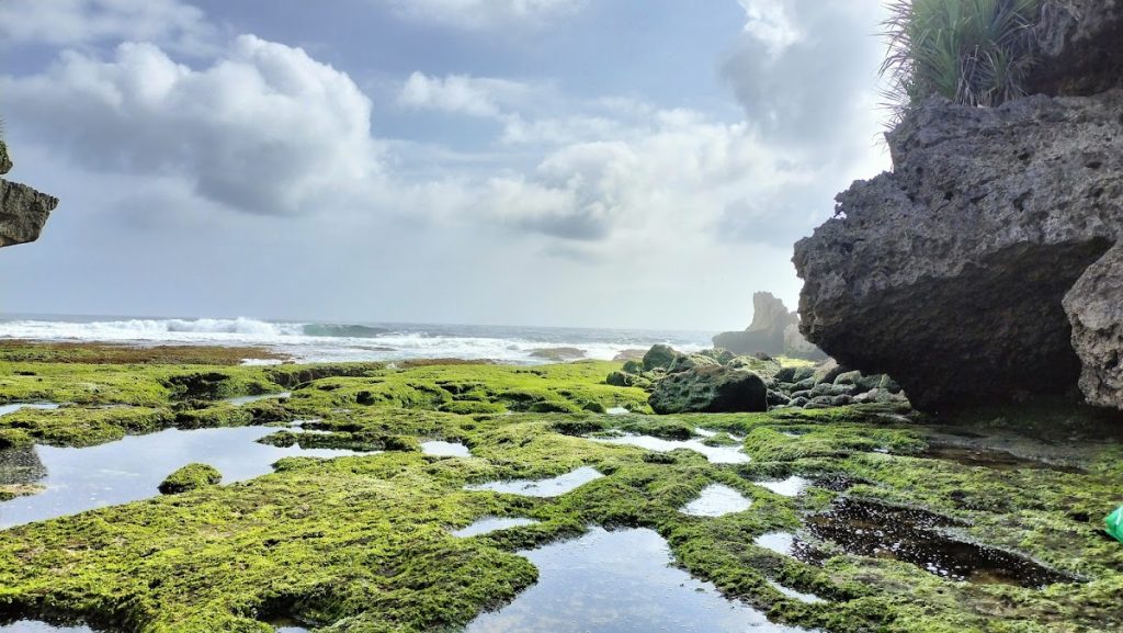 Review Pantai Dadap Ayam di Gunungkidul Yogyakarta Review Pantai Dadap Ayam di Gunungkidul Yogyakarta