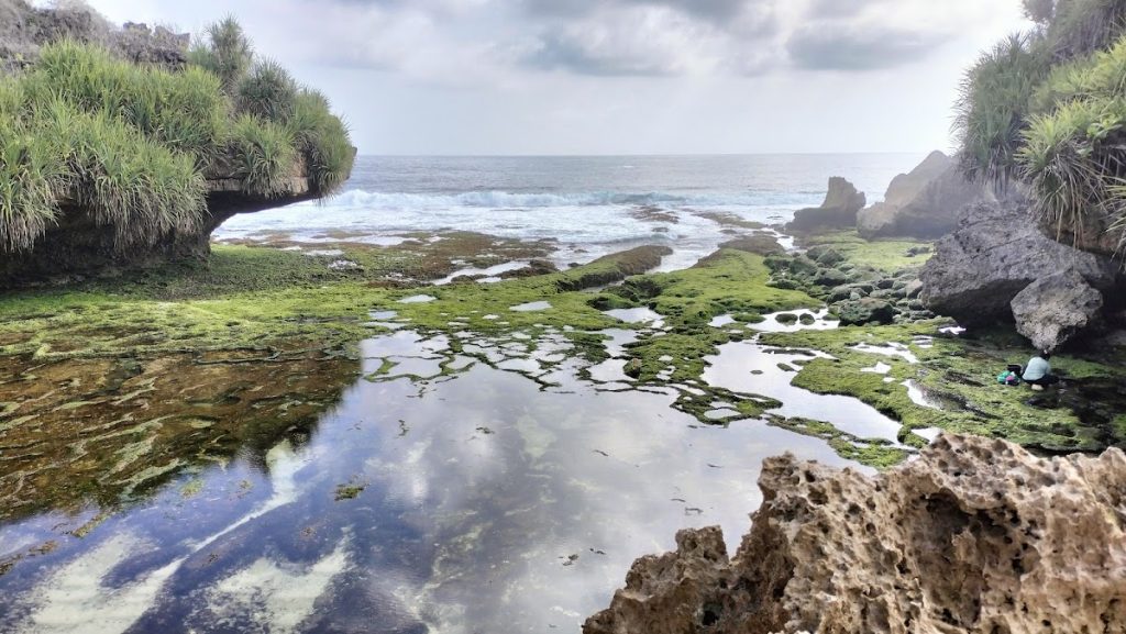 Review Pantai Dadap Ayam di Gunungkidul Yogyakarta Review Pantai Dadap Ayam di Gunungkidul Yogyakarta