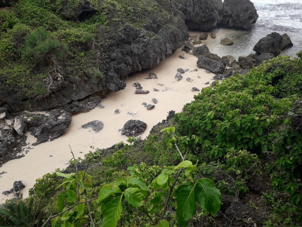 Salah satu alasan mengapa Pantai Mbirit menjadi daya tarik baru di kalangan generasi muda adalah karena banyaknya spot foto yang instagramable. Salah satu alasan mengapa Pantai Mbirit menjadi daya tarik baru di kalangan generasi muda adalah karena banyaknya spot foto yang instagramable.