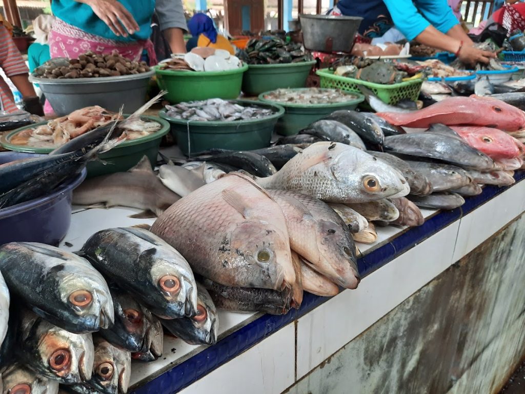 Di Tempat Pelelangan Ikan (TPI) Mina Bahari 45, pengunjung dapat menyaksikan langsung proses pelelangan ikan yang berlangsung setiap pagi. Di Tempat Pelelangan Ikan (TPI) Mina Bahari 45, pengunjung dapat menyaksikan langsung proses pelelangan ikan yang berlangsung setiap pagi.