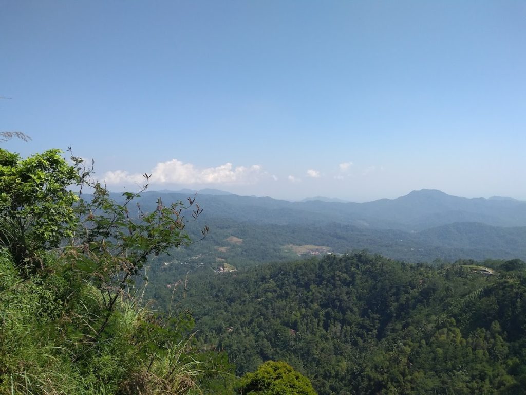 Berada di ketinggian, Puncak Widosari menawarkan panorama hijau yang menyejukkan mata. Berada di ketinggian, Puncak Widosari menawarkan panorama hijau yang menyejukkan mata.