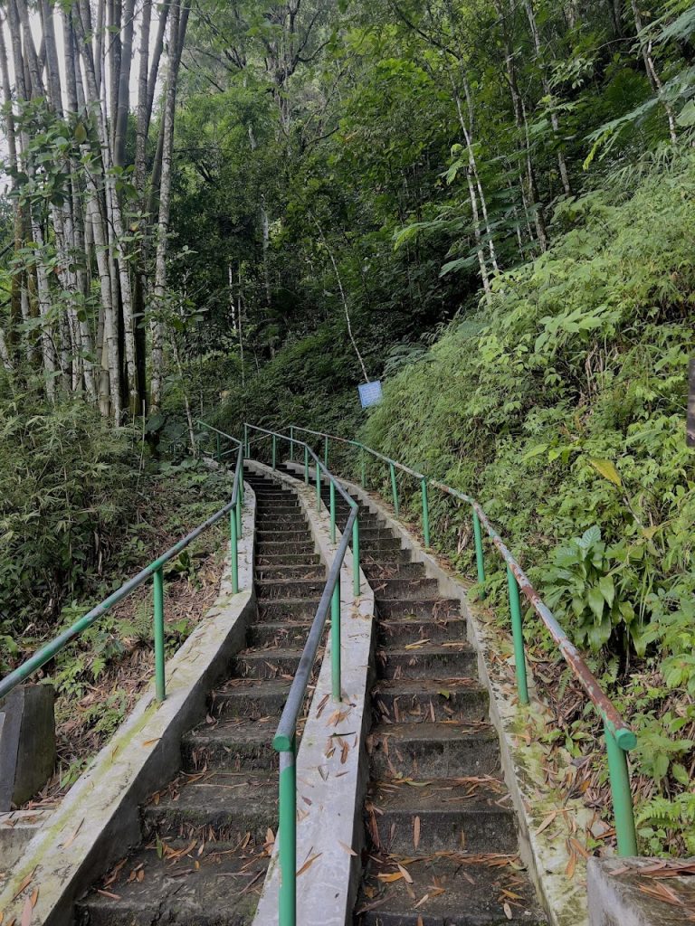 Pendakian menuju puncak Bukit Turgo umumnya memakan waktu sekitar 40 menit hingga satu jam, tergantung kecepatan dan kondisi fisik pengunjung. Pendakian menuju puncak Bukit Turgo umumnya memakan waktu sekitar 40 menit hingga satu jam, tergantung kecepatan dan kondisi fisik pengunjung.