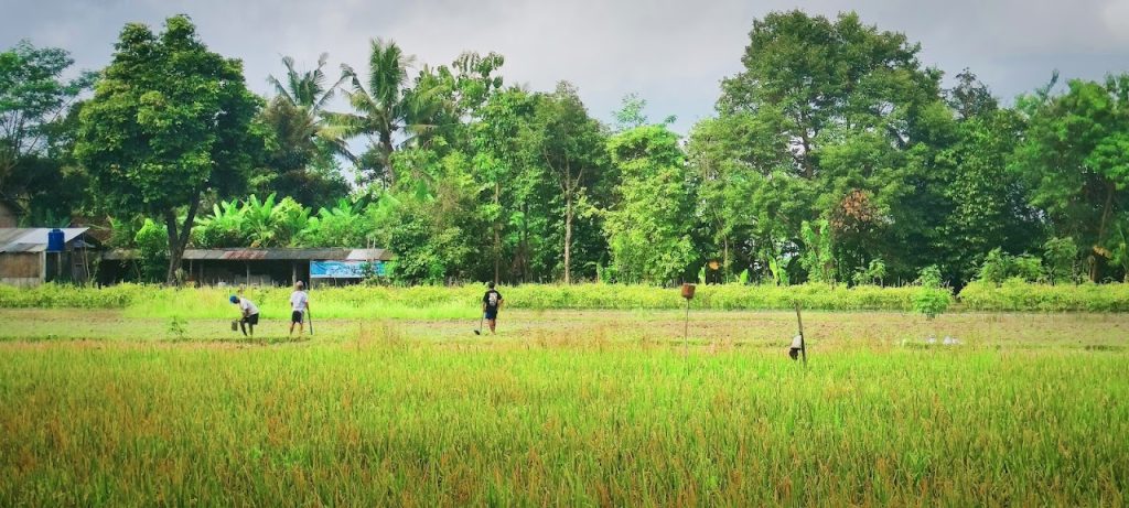 Desa Wisata Ketingan: Pesona Alam, Budaya, dan Konservasi di Sleman, Yogyakarta Desa Wisata Ketingan: Pesona Alam, Budaya, dan Konservasi di Sleman, Yogyakarta
