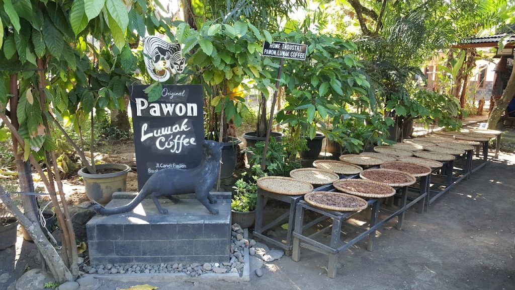 Mengapa Pawon Luwak Coffee Layak Dikunjungi? Mengapa Pawon Luwak Coffee Layak Dikunjungi?