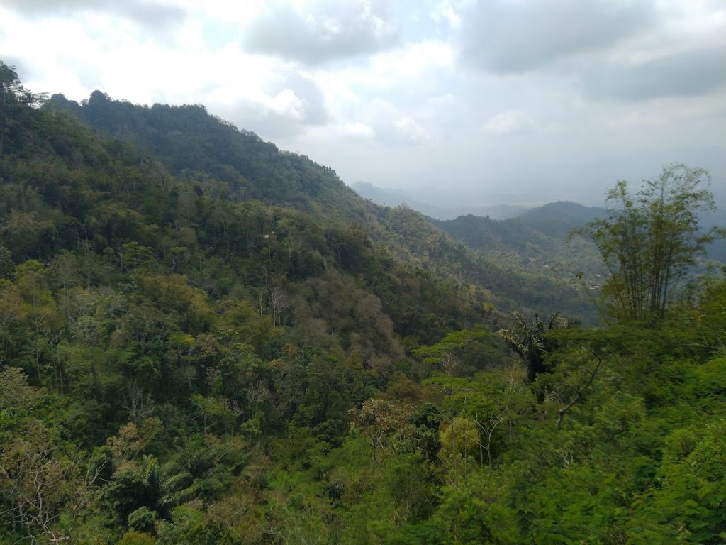 Puncak Kukusan dan Puncak Kendeng di Kulon Progo: Panorama Alam dan Sunrise yang Mempesona Puncak Kukusan dan Puncak Kendeng di Kulon Progo: Panorama Alam dan Sunrise yang Mempesona