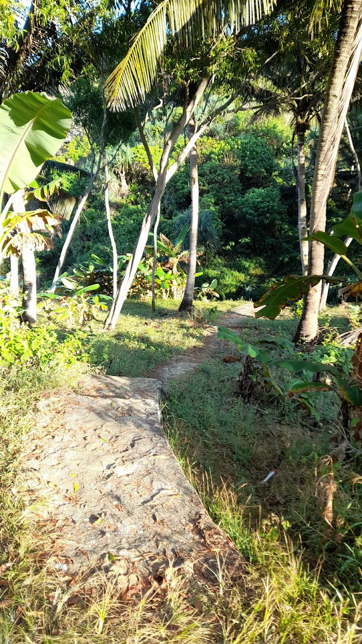Daya tarik Pantai Pringjono memang datang bersama tantangan akses. Daya tarik Pantai Pringjono memang datang bersama tantangan akses.