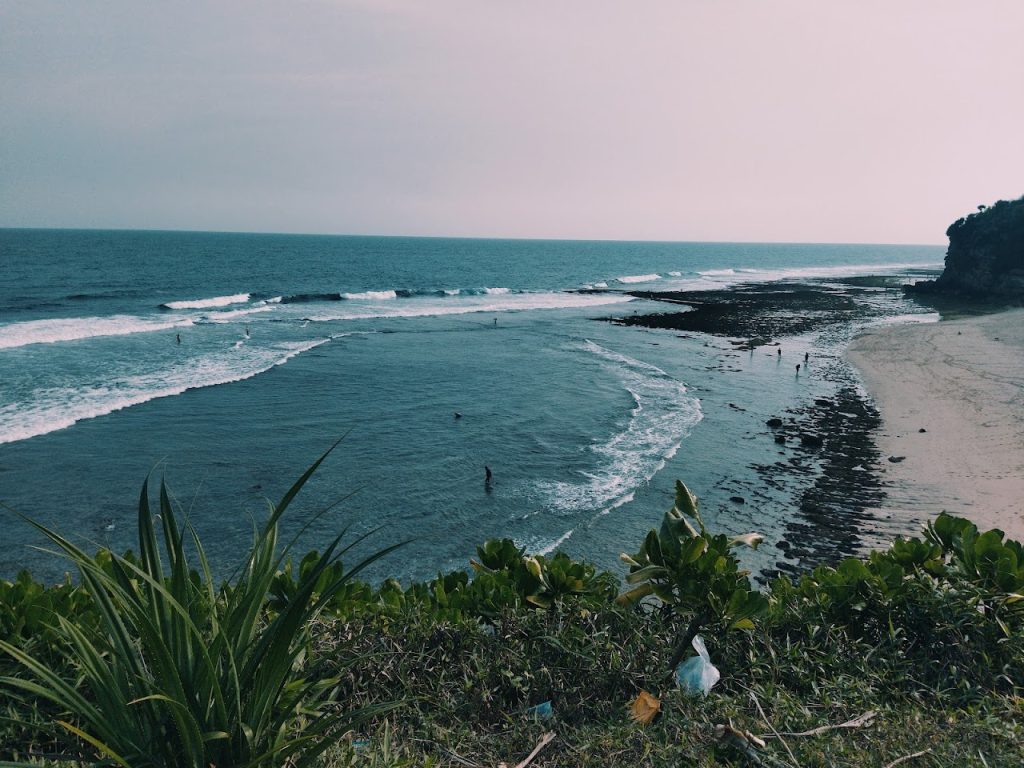 Pantai Watu Kodok Gunungkidul: Panduan Lengkap Wisata, Camping, Rute, dan Tiket Pantai Watu Kodok Gunungkidul: Panduan Lengkap Wisata, Camping, Rute, dan Tiket